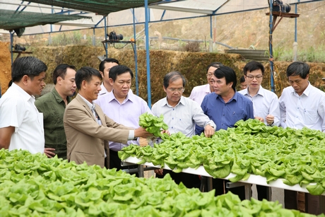 Phó Thủ tướng Vương Đình Huệ thăm mô hình trồng rau, củ của HTX Tân Tiến ở Lâm Đồng tháng 6/2017. Ảnh: VGP