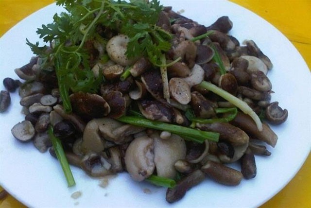 Nấm tràm Phú Quốc-đặc sản nức tiếng ở Phú Quốc, tỉnh Kiên Giang có thể chế biến thành nhiều món ăn ngon, bổ dưỡng, tốt cho sức khỏe.