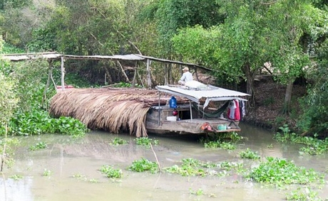 Một hộ gia đình đang chặt lá dừa nước ở ven sông Vàm Cỏ ngay dưới chân cầu Mỹ Lợi (xã Bình Đông, thị xã Gò Công, Tiền Giang)