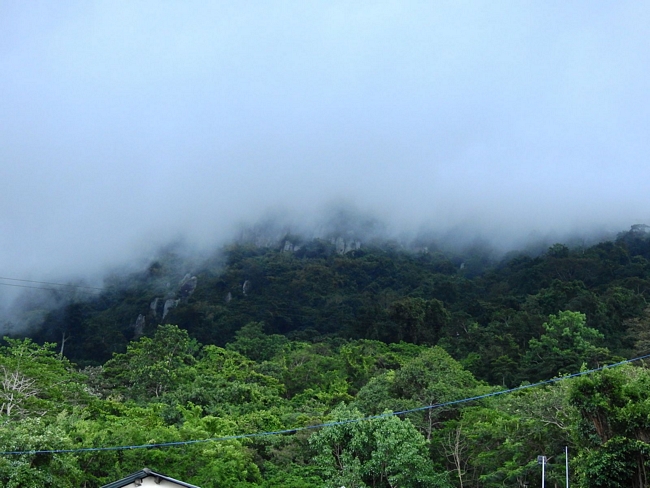 Với độ cao lên 986 m, quanh năm đỉnh núi Bà Đen được mây mù bao phủ nên trải nghiệm ngắm bình minh trên núi sẽ cực kỳ thú vị.