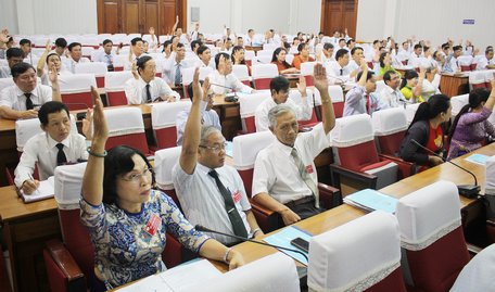 Đại biểu biểu quyết tại đại hội.