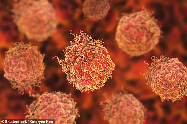 Các tế bào ung thư - ảnh minh họa từ SHUTTERSTOCK/KATERYNA KON