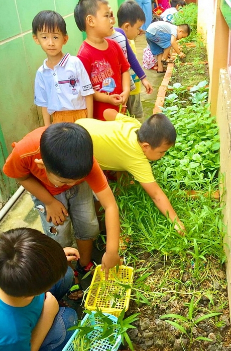 Trẻ trải nghiệm thực tế khu “vườn rau của bé” tại Trường Mầm non Hoa Lan (Phường 1).