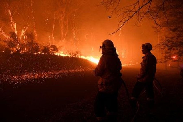 Lực lượng cứu hỏa bang NSW nỗ lực khống chế đám cháy lan rộng (Ảnh: Reuters)