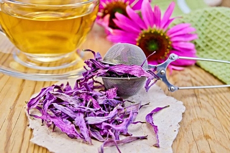 Uống trà hoa cúc tím (Echinacea): Trà hoa cúc tím chứa các thành phần kháng viêm, nhờ đó giúp đẩy nhanh quá trình hồi phục nếu bạn đang mắc các bệnh do virus gây ra. Bạn có thể uống si-rô hoa cúc tím hoặc trà hoa cúc tím 2 - 3 lần/ngày.