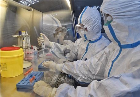 Xét nghiệm các mẫu bệnh phẩm tại phòng thí nghiệm ở tỉnh Tứ Xuyên, Trung Quốc, ngày 15/2. Ảnh: THX/TTXVN
