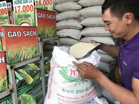 Lượng gạo xuất khẩu đã được tính toán kỹ lưỡng cho an ninh lương thực trong nước - Ảnh: TRẦN MẠNH