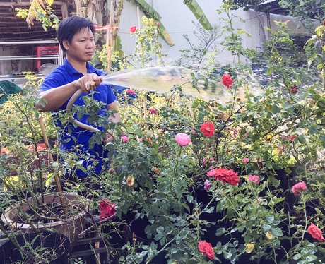 Anh Thái khởi nghiệp từ niềm say mê trồng trọt và bắt đầu với hồng leo.