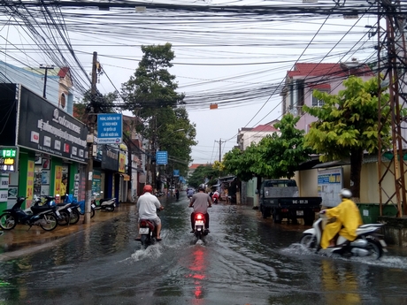 Đường Nguyễn Thái Học (Phường 1) cũng bị nước mưa nhấn chìm.