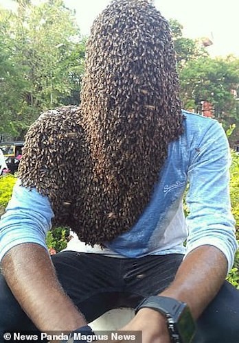 Nature M.S đã để 60.000 con ong bám kín mặt. Ảnh: Magnus News
