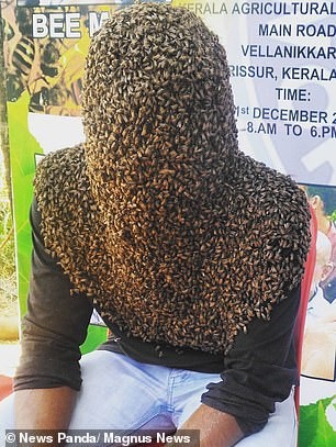 Người đàn ông lập kỷ lục Guinness khi để những con ong đậu trên mặt hơn 4 tiếng. Ảnh: Magnus News