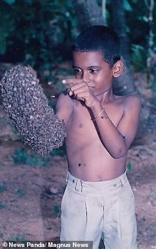 Nature tiếp xúc với ong từ năm 7 tuổi. Ảnh: Magnus News