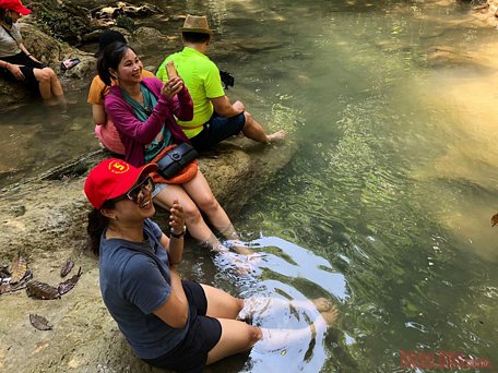 Du khách thưởng thức massage cá tại những vũng nước dưới chân thác.