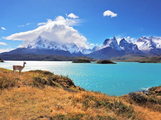 Hồ Pehoé, Patagonia Chile    Công viên quốc gia Torres del Paine rất rộng lớn nằm ở phía nam Chile, nơi đây có đủ không gian để bao quát nhiều vùng khí hậu và địa hình, từ những ngọn núi đá granit phủ đầy tuyết và sông băng lấp lánh đến những đồng cỏ, đầm lầy và những hồ nước màu xanh da trời. Toàn cảnh đẹp nhất của nó là dãy Torres bên dưới thác nước Salto Chico trên hồ Pehoé.
