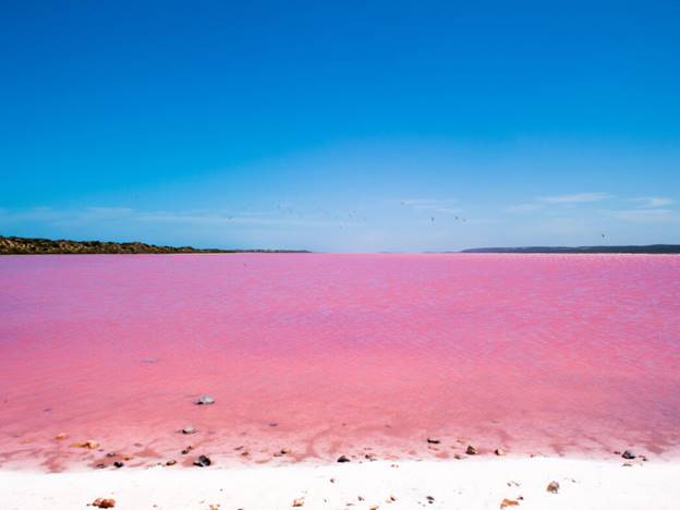 Hồ Hillier, Úc    Các nhà khoa học dự đoán rằng hồ nước màu hồng xinh đẹp nằm ở Middle Island, ngoài khơi bờ biển phía tây Australia này có màu sắc từ tảo vi sắc tố sống trong vùng nước bão hòa muối. Đây là khu bảo tồn thiên nhiên được bảo vệ, do vậy việc du khách đến thăm trực tiếp rất khó.