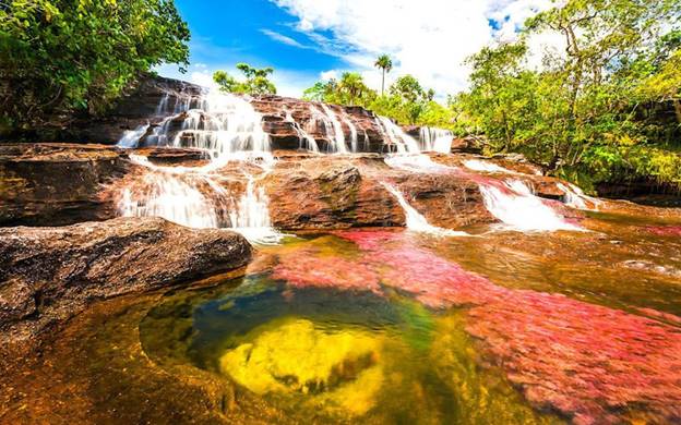 Dòng sông Cano Cristales (Colombia, Nam Mỹ).