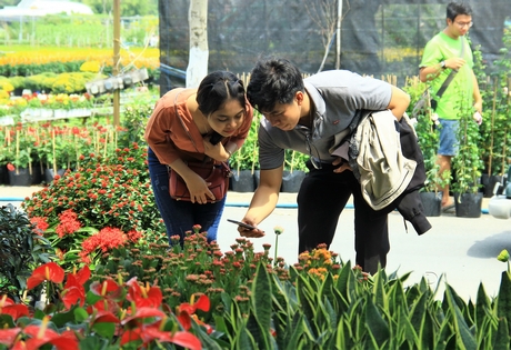 Làng hoa kiểng Sa Đéc là điểm tham quan yêu thích của nhiều du khách.
