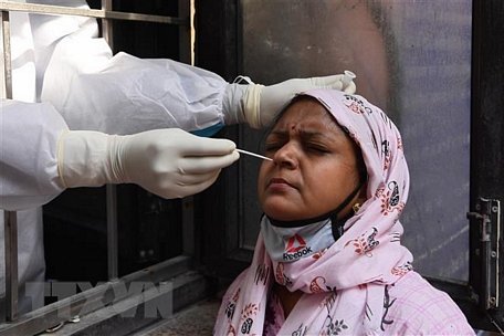 Nhân viên y tế lấy mẫu xét nghiệm COVID-19 tại New Delhi, Ấn Độ. (Nguồn: AFP/TTXVN)
