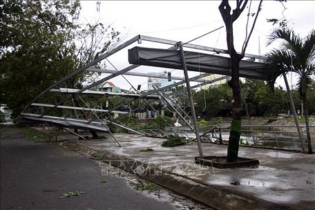 Gió bão làm gãy, sập đổ hàng loạt cây xanh, hàng quán trên các tuyến phố trong địa bàn thành phố Tam Kỳ. Ảnh minh họa: Trịnh Bang Nhiệm/TTXVN