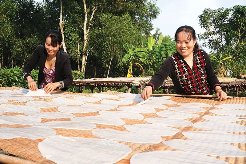 Làng nghề quết bánh phồng ở xã Tân Đức, huyện Đầm Dơi rộn ràng, báo hiệu xuân về, Tết đến. Ảnh: Hồng Nhung