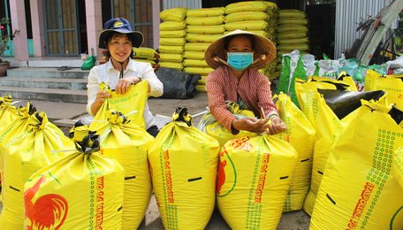 Năm 2021, tỉnh Vĩnh Long tiếp tục triển khai đề án cơ cấu lại ngành nông nghiệp, phát triển sản xuất theo hướng hàng hóa.  Trong ảnh: Người dân huyện Vũng Liêm chuẩn bị phân hữu cơ để bón trên ruộng lúa.