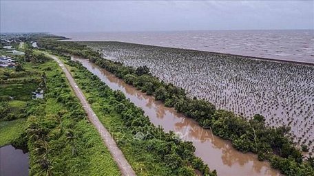  Xâm thực biển, sạt lở sông đe dọa nghiêm trọng Đồng bằng sông Cửu Long. (Ảnh: Trọng Đạt/TTXVN)