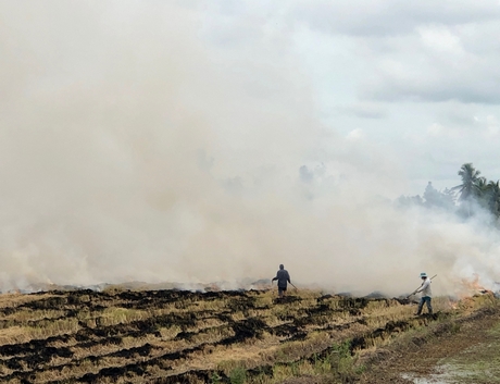 Sau khi thu hoạch lúa, nhất là vụ Đông xuân, nông dân ĐBSCL lại đốt rơm rạ trên đồng