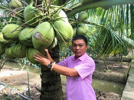  Anh Đặng Minh Bé giới thiệu vườn dừa sáp của gia đình.