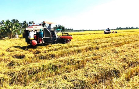 Liên kết tiêu thụ sản phẩm là hướng đi tất yếu.