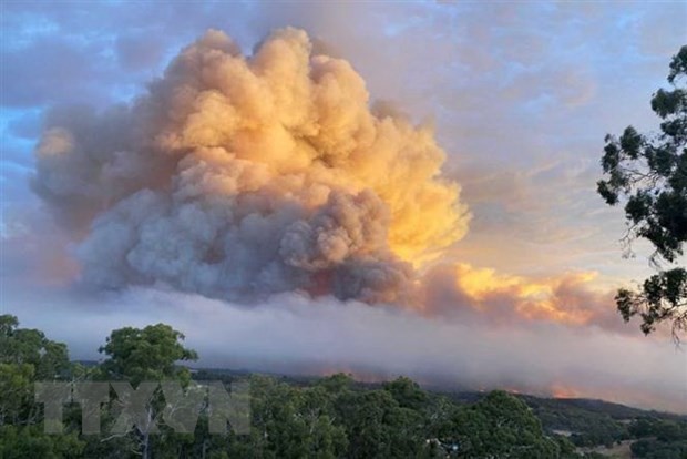 Lửa cháy rừng bùng phát tại Cherry Gardens, ngoại ô Adelaide, Australia. (Ảnh: ABC News/TTXVN)