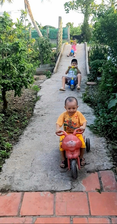 Những đứa trẻ cùng nhau chơi trò đạp xe thả dốc cầu (có sự hướng dẫn và giám sát của người lớn).