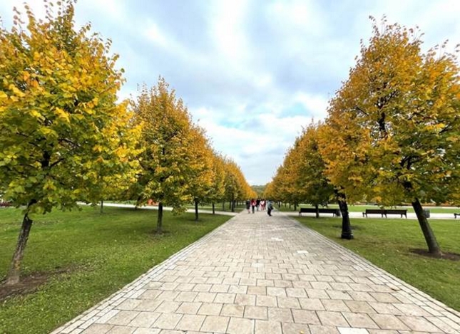 Hàng cây khoe áo mới chạy dài tít tắp trong công viên Tsaritsyno 