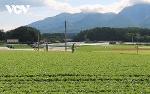 Vì sao Nhật Bản thành công trong việc nâng tầm giá trị nông sản?