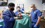 Ca ghép tim lợn chỉnh sửa gene vào cơ thể người đầu tiên trên thế giới