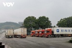 Thanh long nối lại xuất khẩu qua Lào Cai sau gần 5 tháng tạm dừng