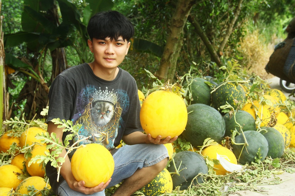  Năm nay, nông dân Tân Hương có một mùa dưa được giá.