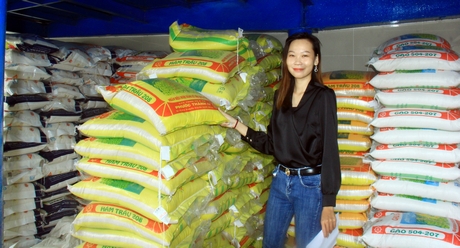 Vĩnh Long có nhiều tiềm năng để phát triển lúa- gạo chất lượng cao.