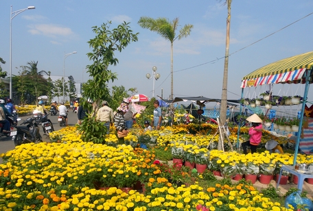 Cần nắm chắc thông tin về thị trường, thời tiết… để tránh bị rủi ro khi kinh doanh trong dịp Tết. Trong ảnh: Bán hoa tại chợ hoa xuân TP Vĩnh Long.