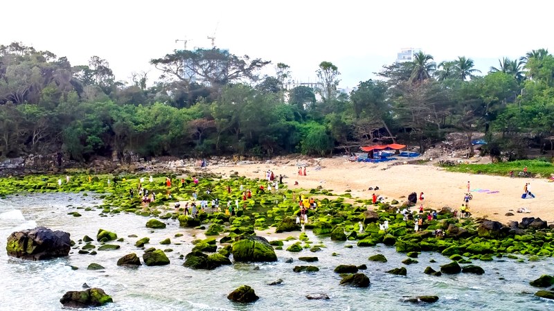 Vào khoảng tháng 2 và tháng 3 âm lịch, Bãi đá ở rạn Nam Ô (phường Hòa Hiệp Nam, quận Liên Chiểu) được thiên nhiên khoác lên thảm rêu xanh mềm mại