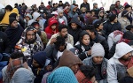 Nghị viện châu Âu thông qua Hiệp ước mới về Tị nạn và Di trú