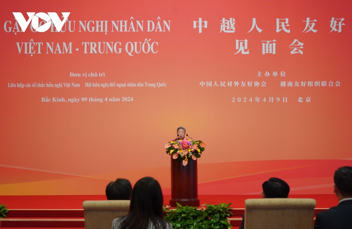 Bà Vu Thục Huệ phát biểu tại Giao lưu Hữu nghị Nhân dân Việt Nam - Trung Quốc