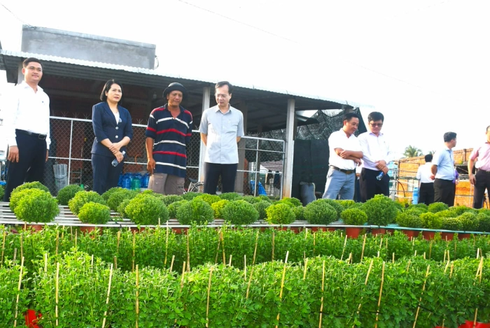 Chủ tịch UBND tỉnh Trần Trí Quang khảo sát các dự án trọng điểm ngành nông nghiệp và hoa kiểng