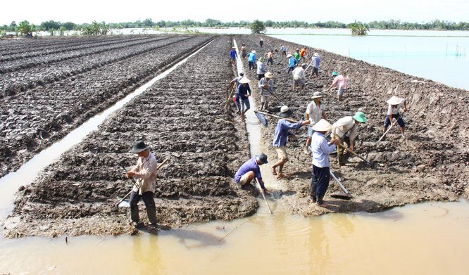 Hình ảnh này rất thú vị, đồng nước mênh mông “bao vây” ruộng khoai đang được cuốc đất lên giồng chuẩn bị xuống giống