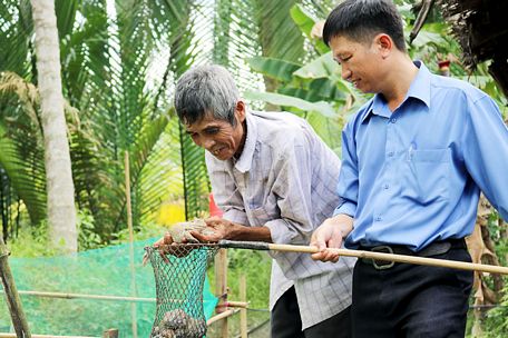 Mô hình nuôi trùn quế kết hợp nuôi ếch thương phẩm tại xã Thành Thới A (Mỏ Cày Nam). Ảnh: CTV