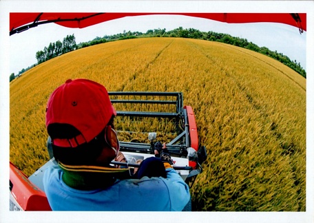 Vĩnh Long có tiềm năng điện sinh khối vì có nguồn nhiên liệu sinh khối tương đối lớn, với diện tích đất nông nghiệp sản xuất hàng năm khoảng 140.000ha, trữ lượng rơm rạ và trấu khoảng 1 triệu tấn/năm.Ảnh: ĐL