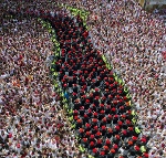 Hàng nghìn người toát mồ hôi chạy đua cùng bò tót